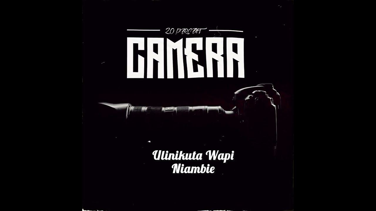 20 percent – Camera 20 percent – Camera