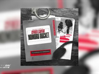 Cyfred & Sayfar – Nomoro Docket (Album)