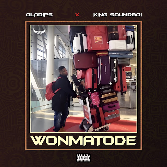Oladips – WONMATODE Oladips – WONMATODE