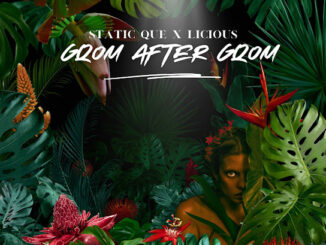 Static Que & Licious – Gqom after Gqom EP
