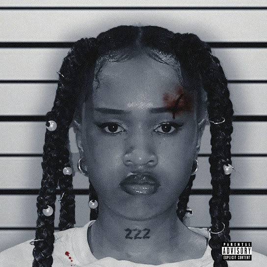 Yungboyvegeta YUNGBOY’$ REVENGE 5 Album