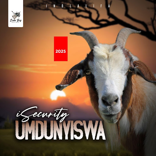 Umdunyiswa – iSecurity Umdunyiswa – iSecurity
