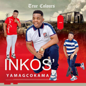 Inkosi Yamagcokama – True Colours Album