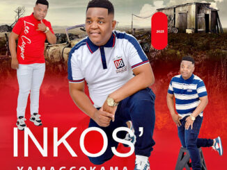 Inkosi Yamagcokama – True Colours Album