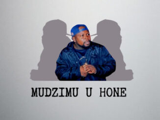 Metro CMG Mudzimu U Hone Album