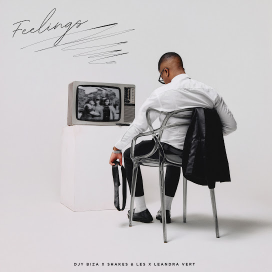 Djy Biza – Feelings Djy Biza – Feelings