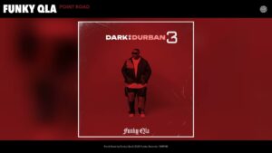 Funky QLA – Dark Or Durban 3