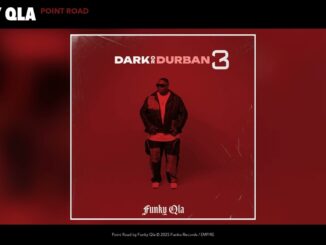Funky QLA – Dark Or Durban 3