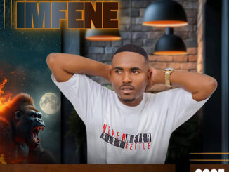 Imfezemnyama, Imfezi emnyama Imfene Album