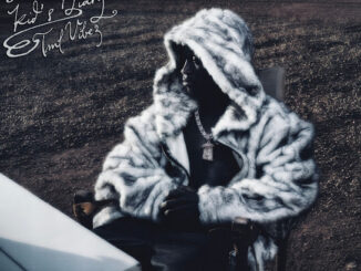 Tml Vibez – A Street Kid Diary (Album)