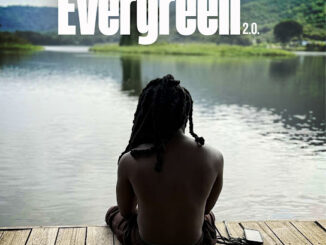 Ayisi Evergreen 2.0