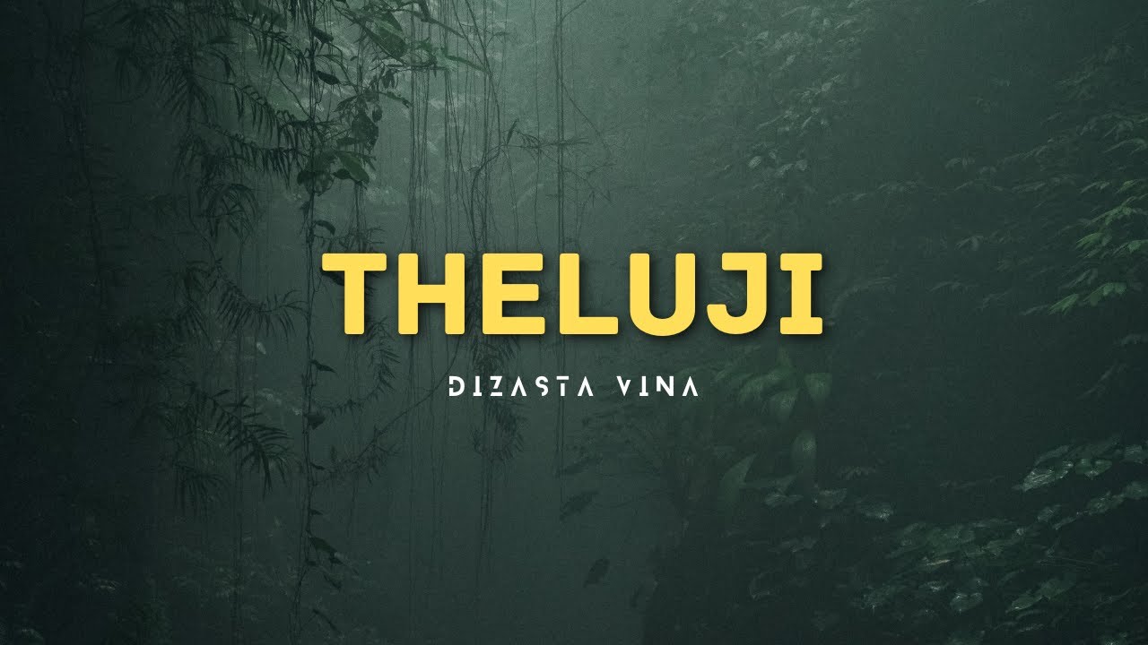 Dizasta Vina – Theluji Dizasta Vina – Theluji