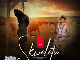 Skweletu – Imizamo yamia
