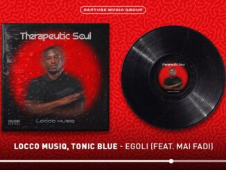 Locco Musiq – Therapeutic Soul