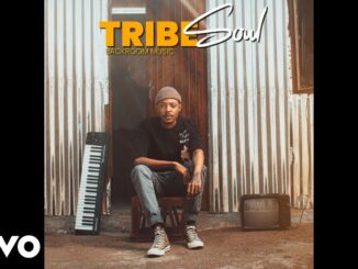TribeSoul – Backroom Music (Album)