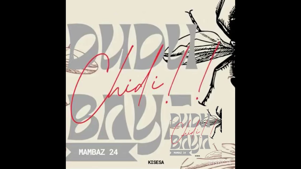 Dudu Baya – Chidi (Diss Track) Dudu Baya – Chidi (Diss Track)