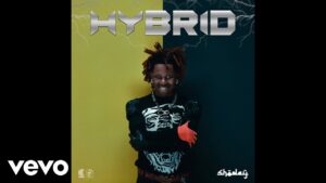 Shoday – Hybrid (Album)