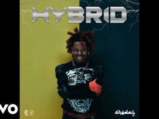 Shoday – Hybrid (Album)