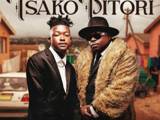 Myztro & Sia_TheBee – TSAKO PITORI EP