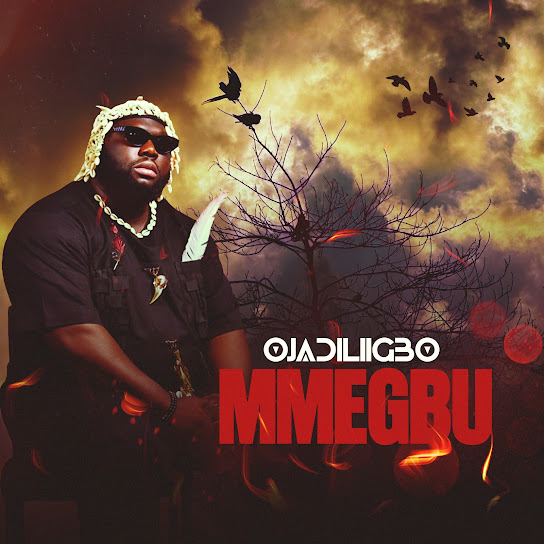 Ojadiliigbo – Mmegbu Ojadiliigbo – Mmegbu