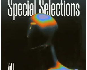 VA – Special Selections, Vol. 1