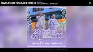Tee Jay & Ntando Yamahlubi – Sghubu Sey'Ntombi