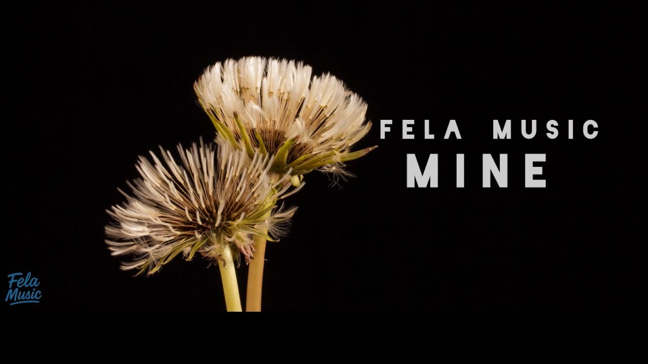 Fela Music – Mine Fela Music – Mine
