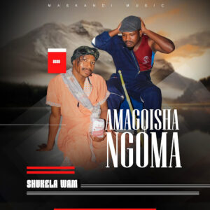 Amagqishangoma Shukela Wami ALbum