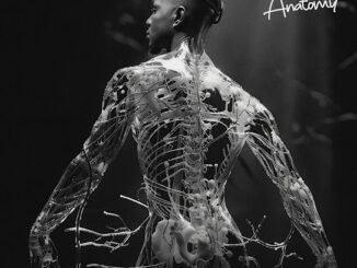 EMO Grae – ‎Grae’s Anatomy Album