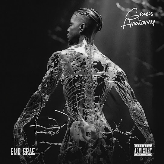 EMO Grae – Fool for You EMO Grae – Fool for You