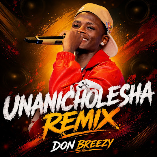 Don Breezy – Unanicholesha (Remix) Don Breezy – Unanicholesha (Remix)