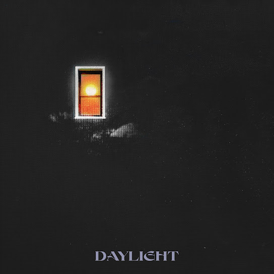 Bees – daylight Bees – daylight
