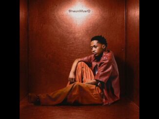 ShaunMusiQ – Missing Piece