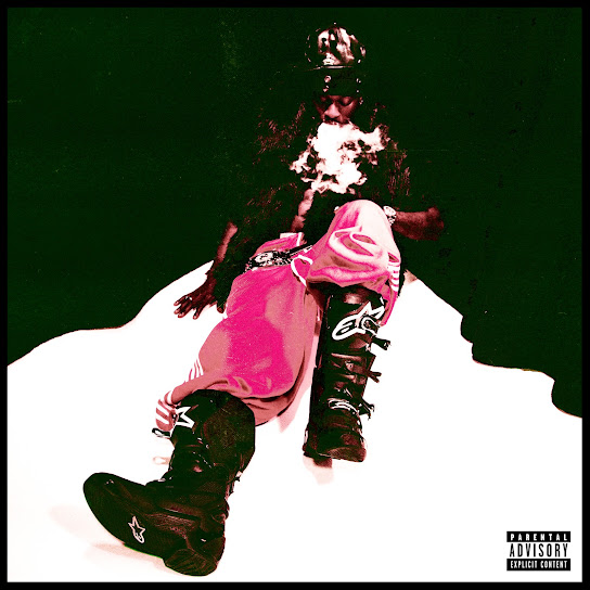 PsychoYP – WHO BORN THE MAGA PsychoYP – WHO BORN THE MAGA