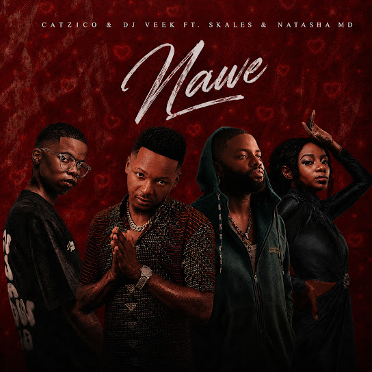 Catzico – Nawe Catzico – Nawe