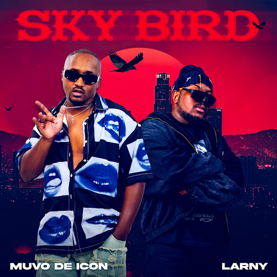Muvo De Icon – Sky Bird Muvo De Icon – Sky Bird