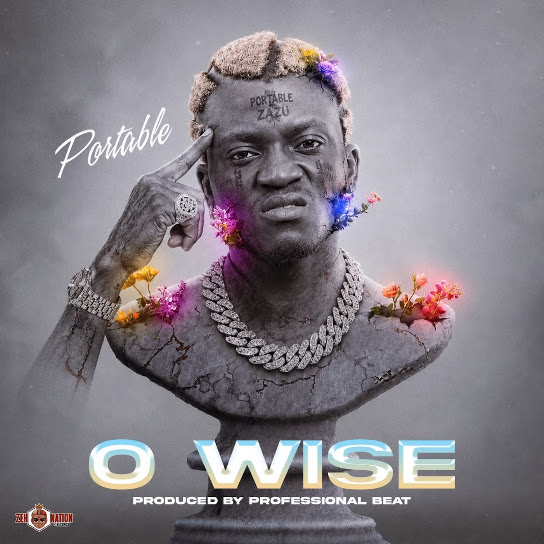 Portable – O Wise Portable – O Wise