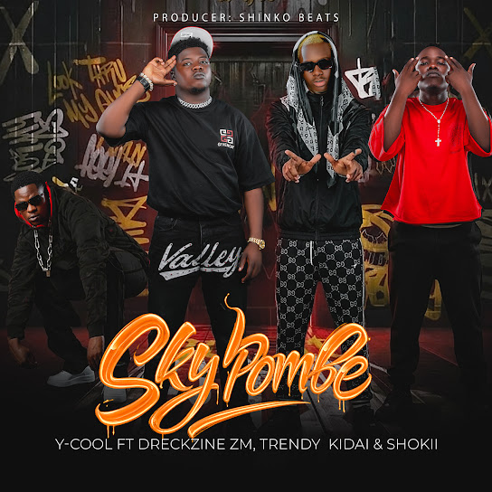 Y-cool – Sky Pombe Y-cool – Sky Pombe