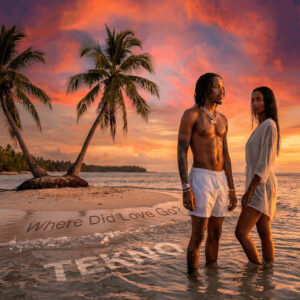 Tekno - Where Did Love Go?