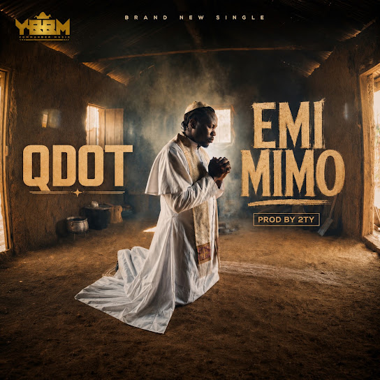 Qdot – EMI MIMO Qdot – EMI MIMO