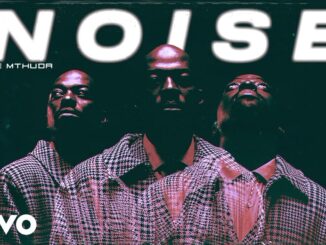 De Mthuda – Noise