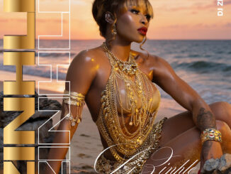DJ Zinhle – ZINHLE