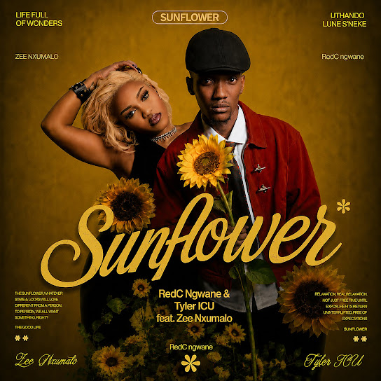 RedC Ngwane – Sunflower RedC Ngwane – Sunflower