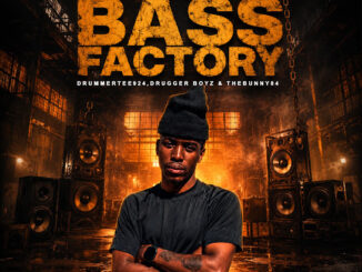 DrummeRTee924, Drugger Boyz & TheBunny04 – The Bass Factory