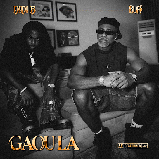 Didi B – Gaou la Didi B – Gaou la