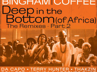 Monique Bingham & Black Coffee – DEEP IN THE BOTTOM (Of Africa) (The Remixes Pt 2.)