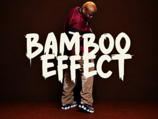 Biggie SA – Bambo Effect