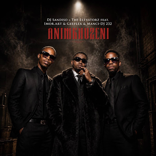 DJ Sandiso – Animkhuzeni