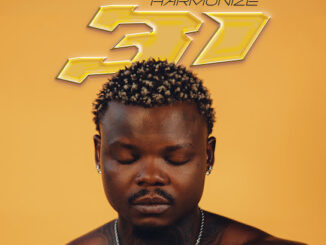 Harmonize – 31 Album