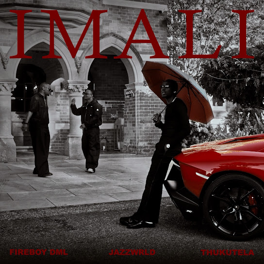 Fireboy DML – IMALI